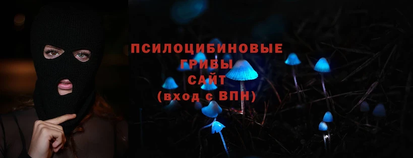 Галлюциногенные грибы Magic Shrooms  Бобров 